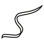 shape_streamers